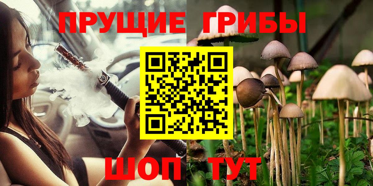 где найти   Вход с VPN  Пушкино  Галлюциногенные грибы MAGIC MUSHROOMS 