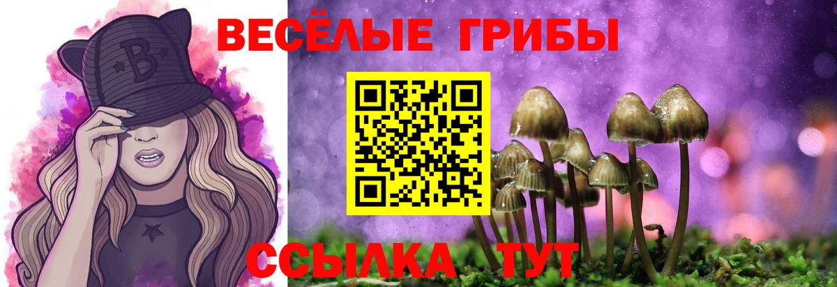 Псилоцибиновые грибы ЛСД Пушкино